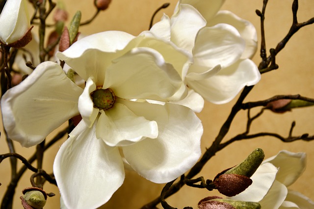 Quels sont les avantages des plantes artificielles ?