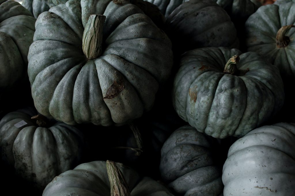 Le guide ultime pour faire mûrir une citrouille verte chez vous