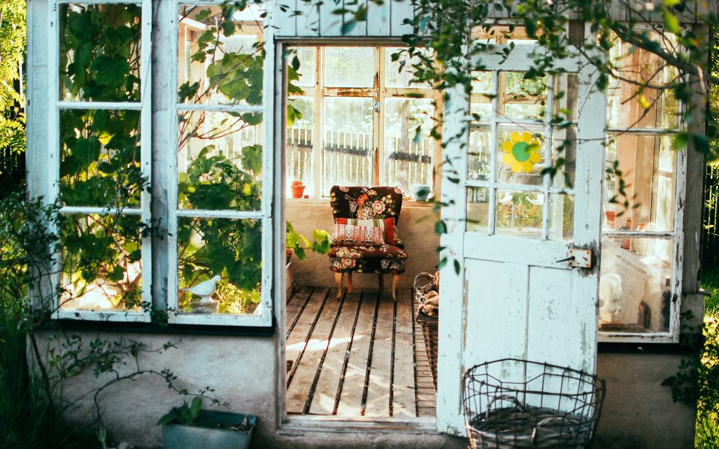 Le jardinage pour les passionnés : guide, plantation, récolte et bien plus