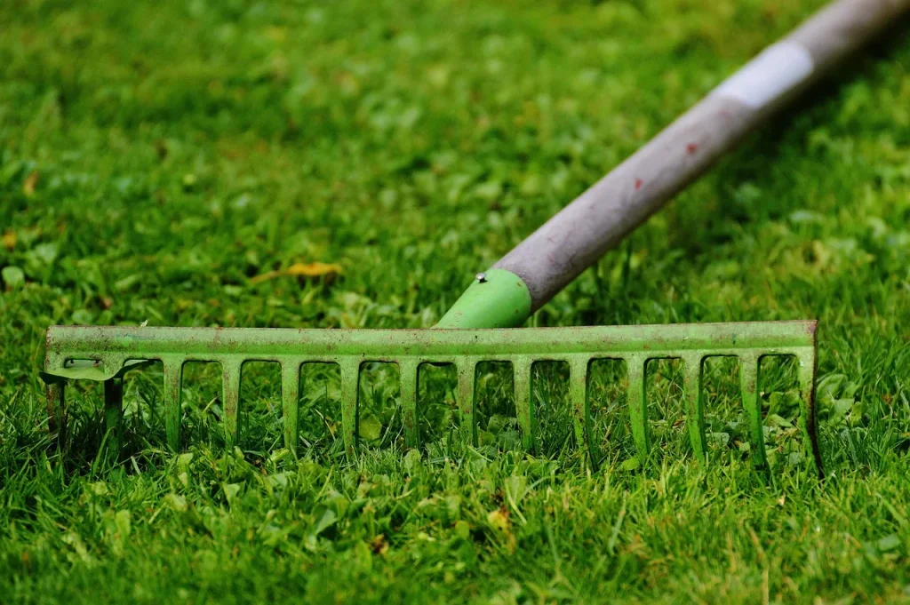 Questions-réponses sur les astuces de jardinage pour une cuisine bio