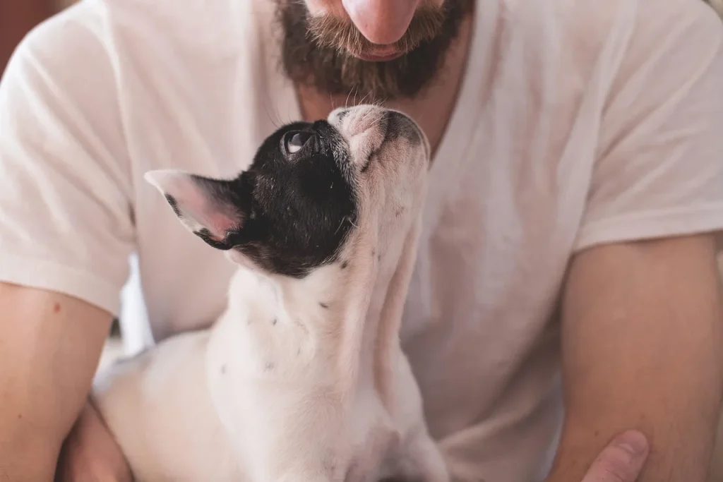 Les animaux de compagnie : un atout pour votre jardin