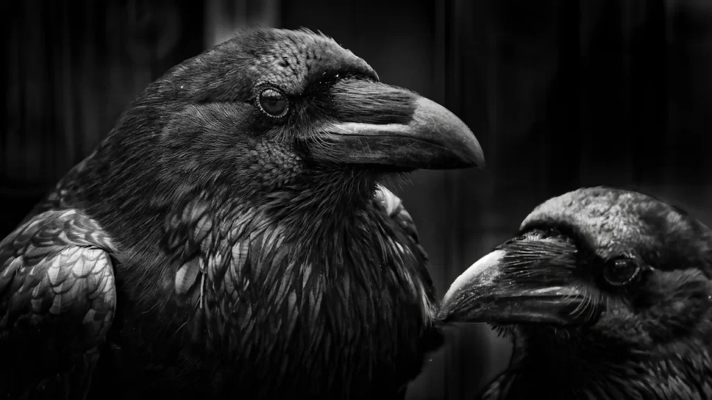Comparatif des solutions pour intégrer des animaux au jardin