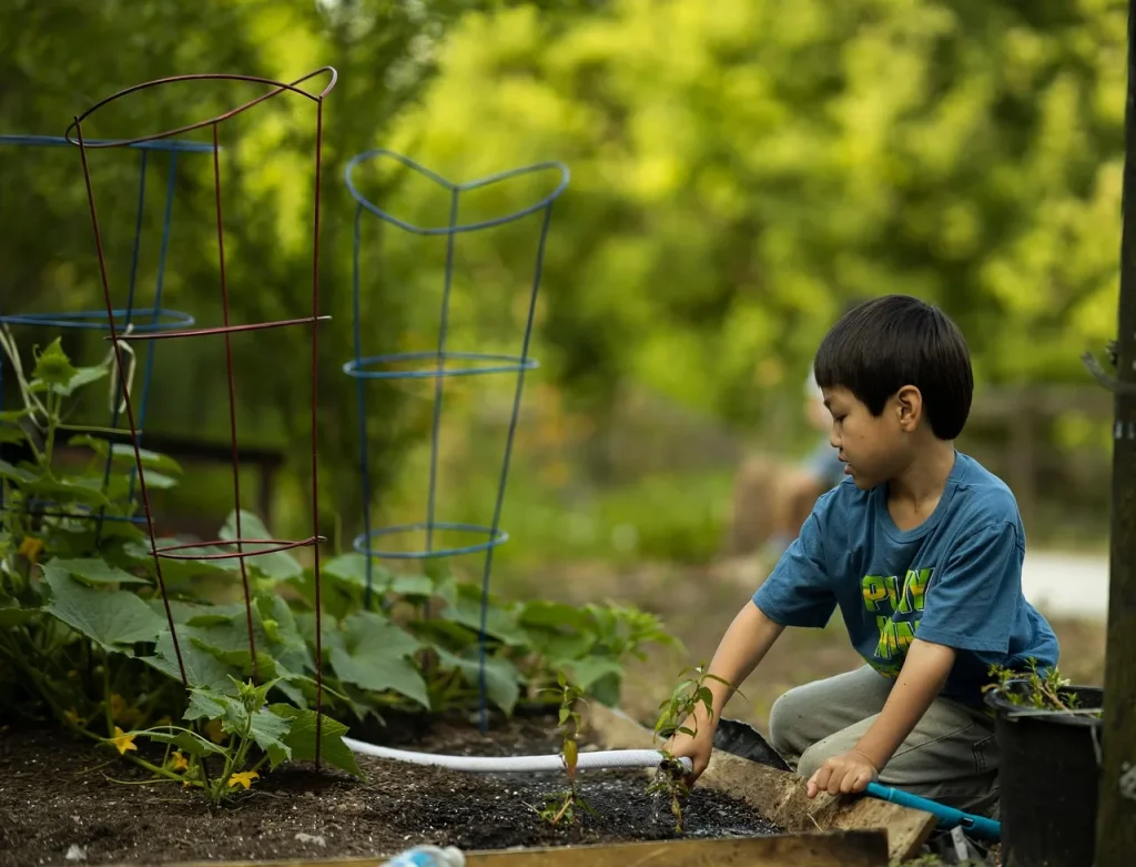 L'écologie dans votre jardin : astuces pratiques